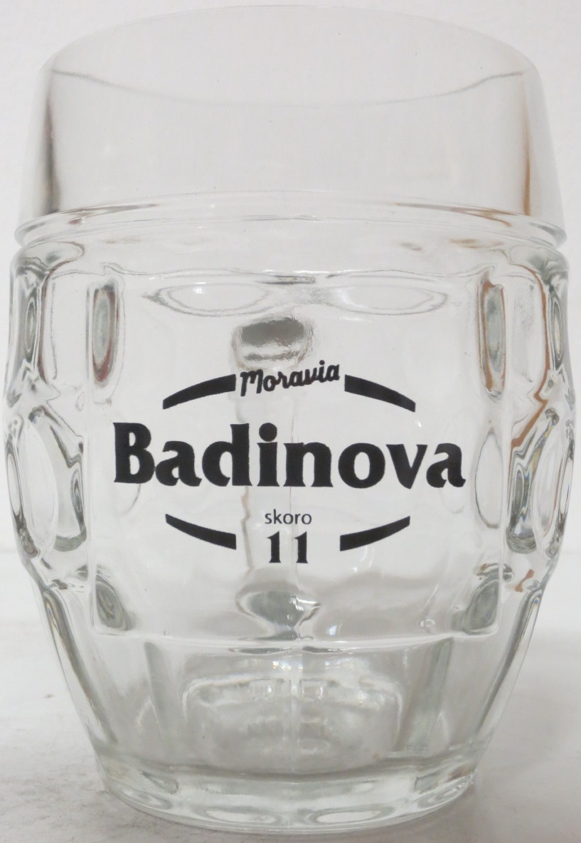 Moravia Badinova skoro 11 (0,5L)