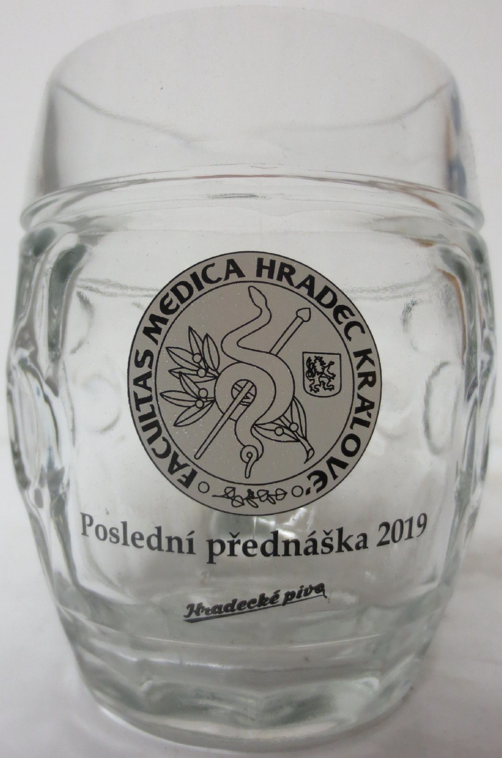Hradecké pivo FACULTAS MEDICA HRADEC KRÁLOVÉ Poslední přednáška 2019 (0,3L)