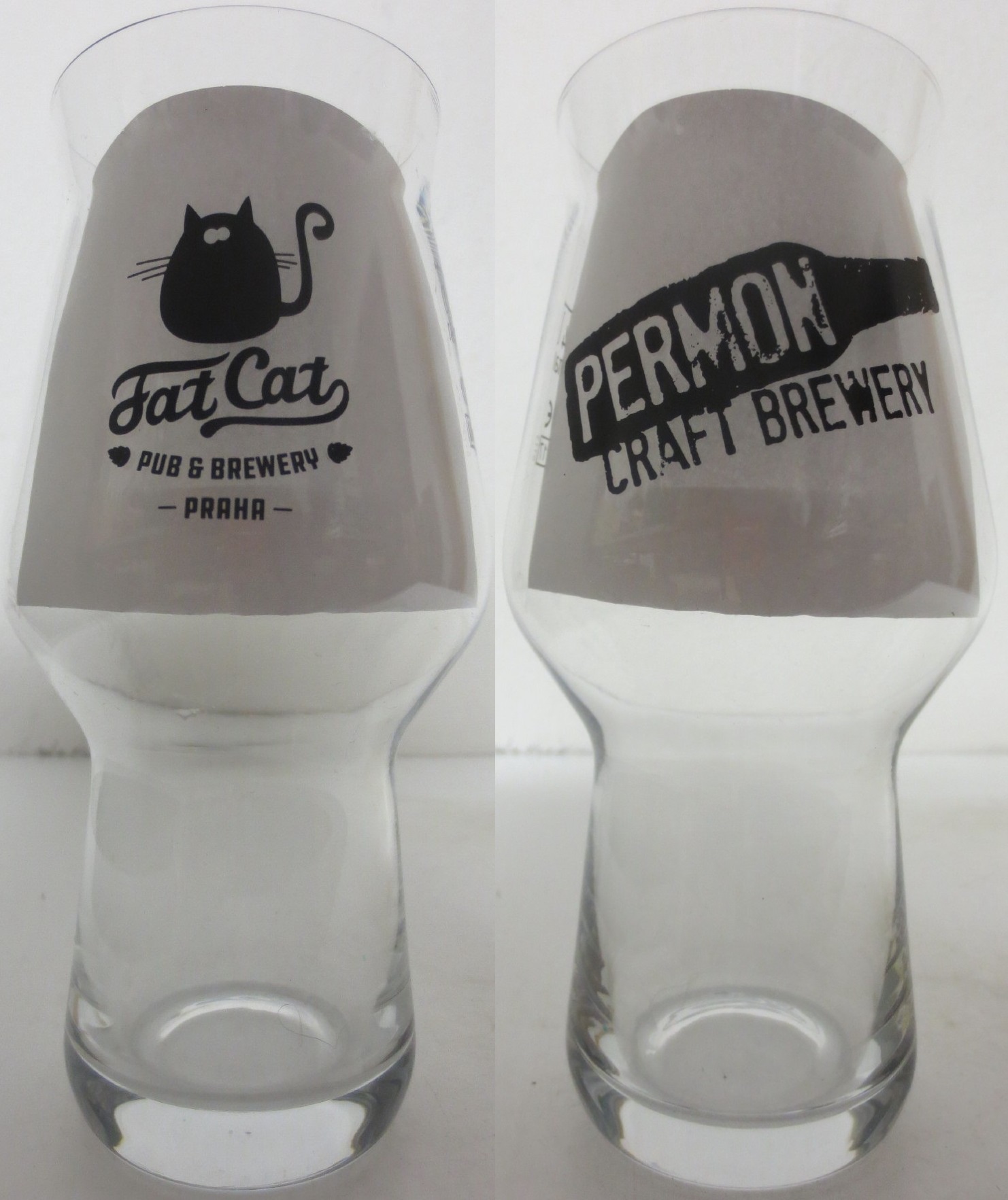 Fat Cat PUB BREWERY PRAHA (0,3L) 
